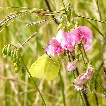 Bio-agriturismo Parco Rurale 
