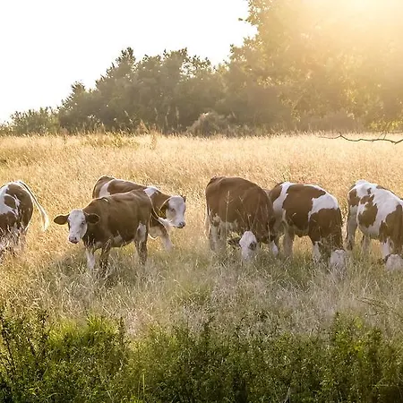 Bio-agriturismo Parco Rurale 