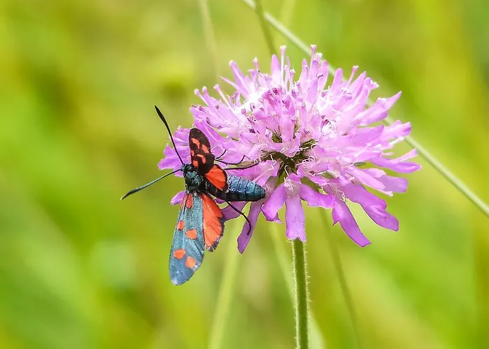 Bio-agriturismo Parco Rurale 