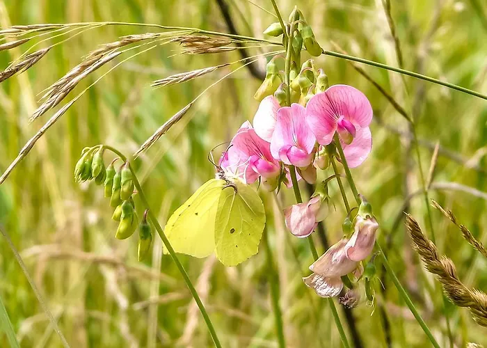 Bio-agriturismo Parco Rurale 