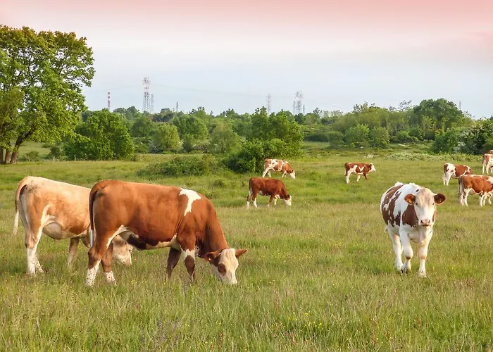 Bio-agriturismo Parco Rurale 