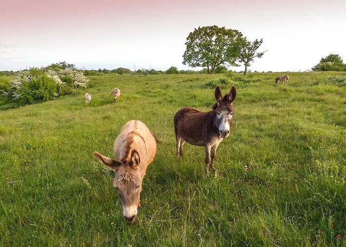 Hétvégi ház Bio-agriturismo Parco Rurale 
