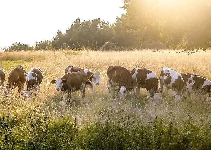 Bio-agriturismo Parco Rurale 
