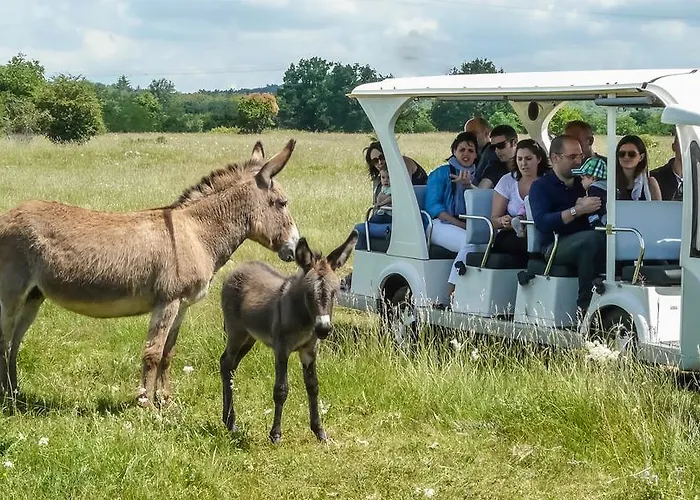 Bio-agriturismo Parco Rurale 