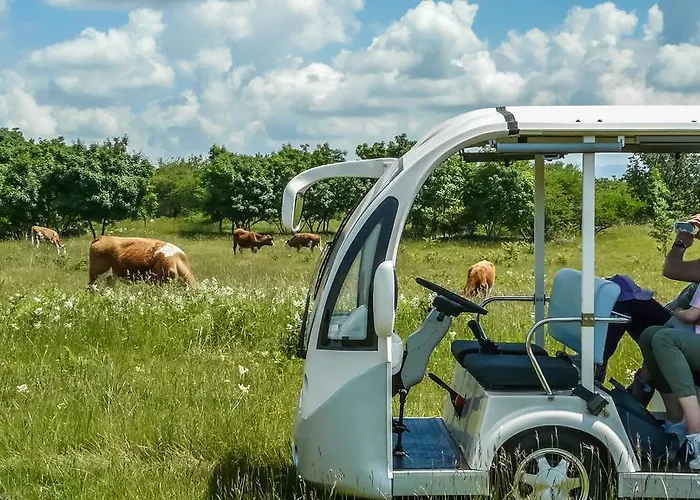 Bio-agriturismo Parco Rurale 