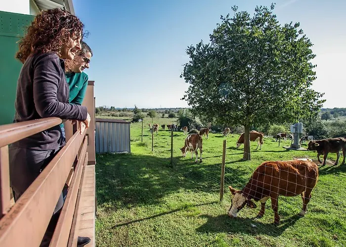 Bio-agriturismo Parco Rurale 